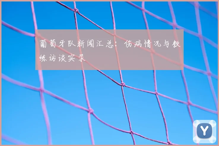 葡萄牙队新闻汇总：伤病情况与教练访谈实录